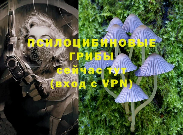 mdpv Верхний Тагил